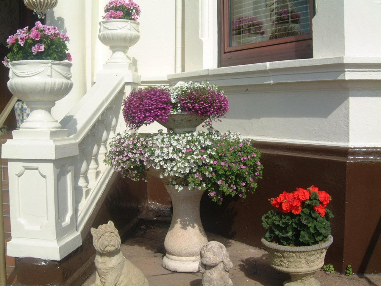 Manor House B And B Larne Eksteriør bilde